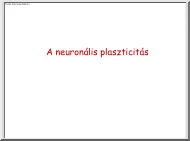 A neuronális plaszticitás