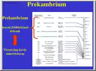Prekambrium