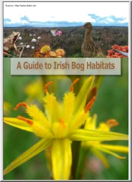 A Guide to Irish Bog Habitats