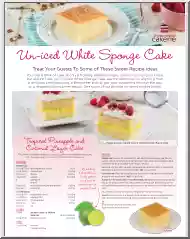 Un-iced White Sponge Cake