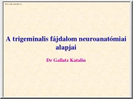 Dr. Gallatz Katalin - A trigeminális fájdalom neuroanatómiái