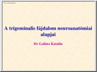 Dr. Gallatz Katalin - A trigeminális