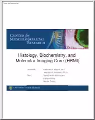 Boyce-Jonason - Histology, Biochemistry, and Molecular Imaging Core, HBMI