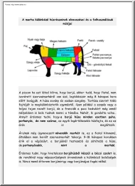 A marha különböző húsrészeinek elnevezései és a felhasználásuk módjai