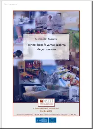 Pusztainé Járó Zsuzsanna - Technológiai folyamat szakmai idegen nyelven