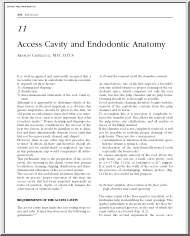 Arnaldo Castellucci - Access cavity and endodontic anatomy