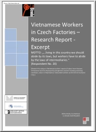 Krebs-Pechová - Vietnamese Workers in Czech Factories, Research Report, Excerpt