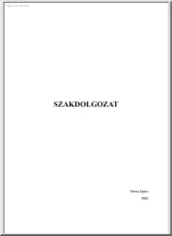 Orosz Ágnes - A város másik oldala, Budapest szórakozóhelyeinek vizsgálata