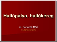 Dr. Kozsurek Márk - Hallópálya, hallókéreg