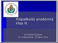 Dr.Csillag-Dr.Márton - Képalkotó anatómia, Has II.