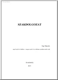 Sági Manuéla - Helynév-szociológiai vizsgálatok Ikerváron