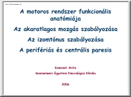 Kamondi Anita - A motoros rendszer funkcionális anatómiája
