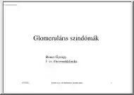 Reusz György - Glomeruláris