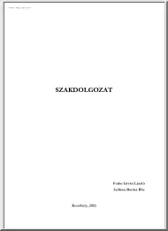 Fodor István László - Az enyingi öreghegy szőlőtermő területeinek értékelése