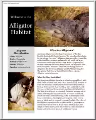 Welcome to the Alligator Habitat
