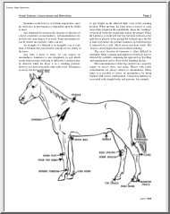 Horse Science, Unsoundness and Blemishes