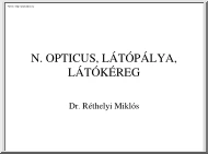 Dr. Réthelyi Miklós - N. opticus, látópálya, látókéreg