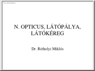 Dr. Réthelyi Miklós - N. opticus