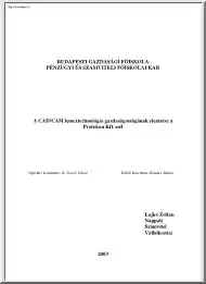 Lajkó Zoltán - A CAD, CAM lemeztechnológia gazdaságosságának elemzése a Protokon Kft.-nél