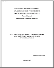 Mátrai Zsófia - Fuvarozási és logisztikai tevékenységek az útépítésben a Mega-Sped Kft gyakorlatában