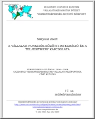 Matyusz Zsolt - A vállalati funkciók közötti integráció és a teljesítmény kapcsolata