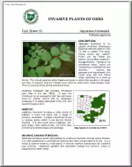 Invasive Plants of Ohio
