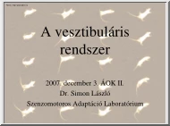 Dr. Simon László - A vesztibuláris rendszer