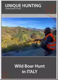 Wild Boar Hunt in Italy