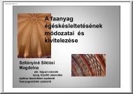 Szitányiné Siklódi Magdolna - A faanyag égéskésleltetésének módozatai és kivitelezése