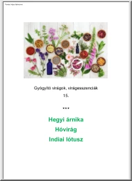 Gyógyító virágok, virágesszenciák, Hegyi Árnika, Hóvirág, Indiai lótusz