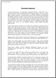 Túracipők, bakancsok