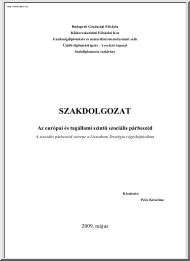 Pelei Krisztina - Az európai és tagállami szintű szociális párbeszéd