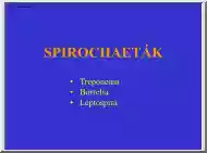 Spirochaeták