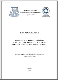 Mészárosné Vasvári Zsuzsanna - A szerializáció bevezetésének folyamata és hatásai egy közepes méretű gyógyszeripari vállalatnál