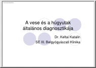 Dr. Keltai Katalin - A vese és a