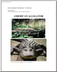 Brian Seasholes - American Alligator