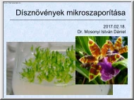 Dr. Mosonyi István Dániel -Dísznövények mikroszaporítása