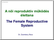 Dr. Zsembery Ákos - A női reproduktív működés élettana