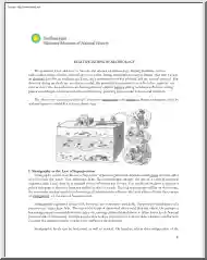 Relative Dating in Archeology