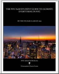 The NYU SoM Student Guide to Everything in NYC