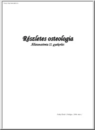 Furka Tünde - Részletes osteologia - Állatanatómia II.