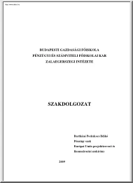Bartháné Podszkocs Ildikó - A Mikrohitel szerepe a Zala megyei kis-és középvállalkozások életében