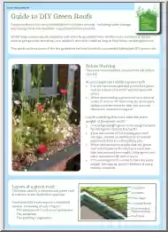 Guide to DIY Green Roofs