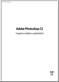 Adobe Photoshop CS, tippek és trükkök a szakértőktől