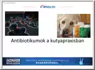 Antibiotikumok a kutyapraxisban