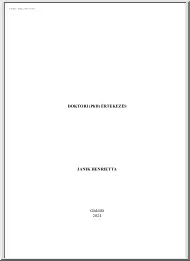 Janik Henrietta - A felsőoktatás nemzetköziesítésének lehetőségei hálózat- és magatartáselméleti vizsgálatok tükrében