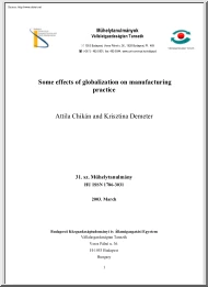 Chikán-Demeter - Some Effects of Globalization on Manufacturing Practice