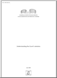 Understanding the Courts Statistics