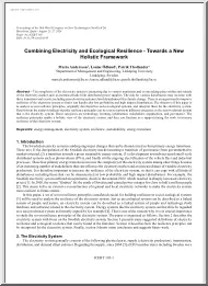Combining Electricity and Ecological Resilience, Towards a New Holistic Framework