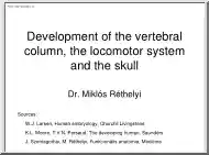 Development of the vertebral column, the locomotor system and the skull